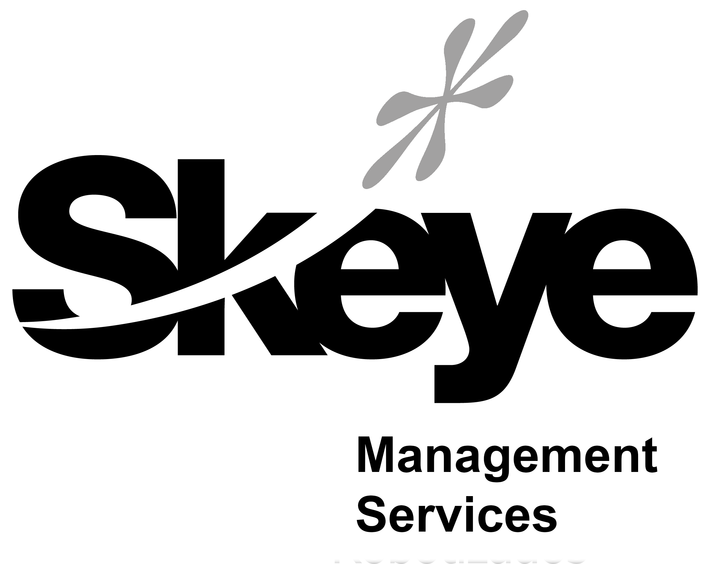 images:skeyems.png